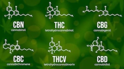 Was sind Cannabinoide und wie unterscheiden diese sich?