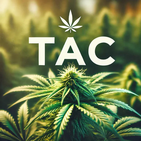 Die 100% Alternative zu HHC – TAC