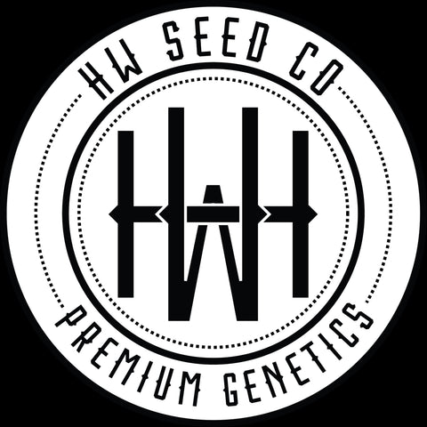 HW Seeds Amnesia Lemon Automatic