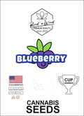 Cannabi-Seeds-Samen-Blueberry-Automatic-feminisert-