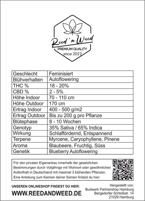 Blueberry-Autoflowering-feminisiert-automatic-Cannabis-Samen-Seeds