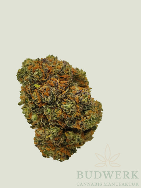 CBD-Blueten-Gelato