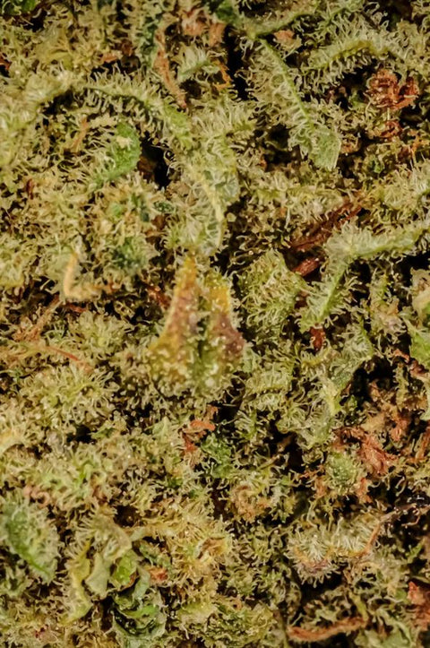 CBD Kaufen_Weed_Cannabis kaufen