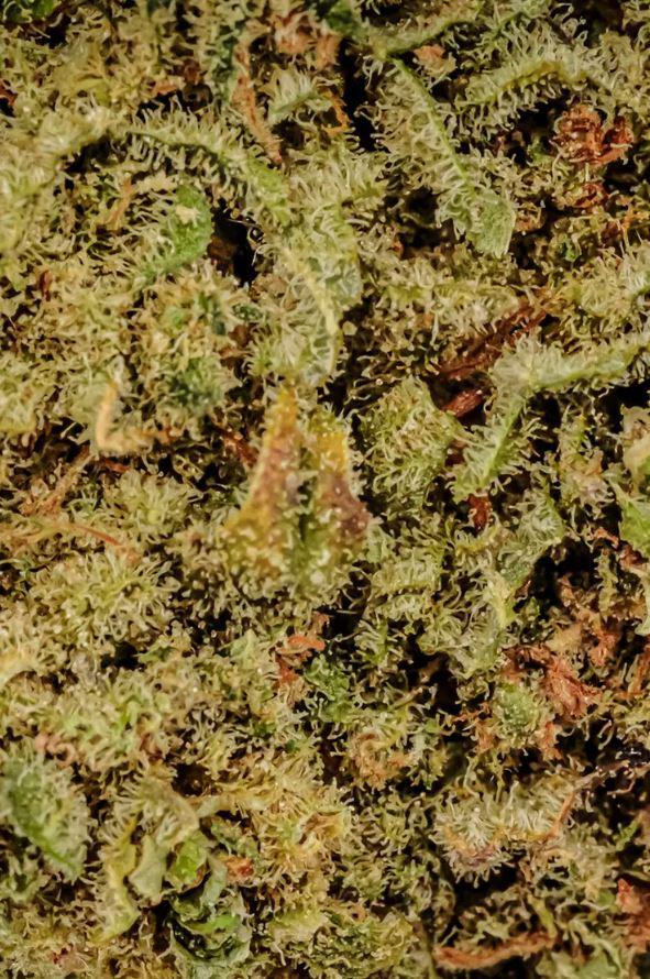 CBD Kaufen_Weed_Cannabis kaufen