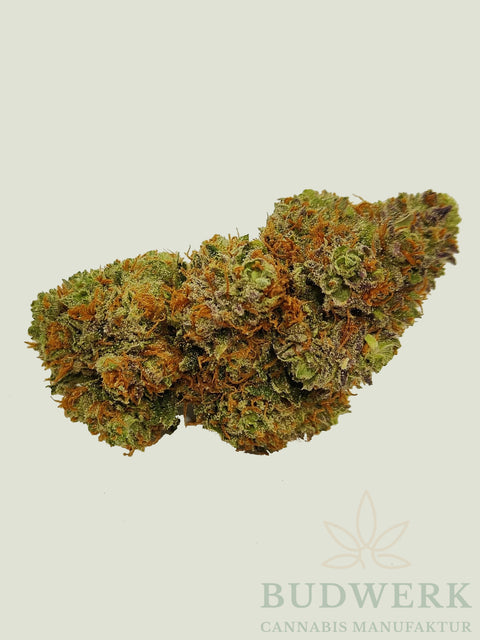 Purple Kush - Indoor Premium CBG