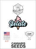 Cannabi-Seeds-Samen-Gelato-photoperiodisch-feminisert-