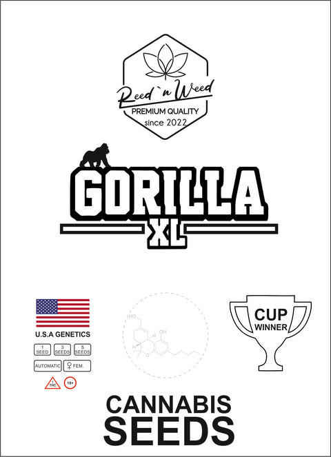 Gorilla-XL-Autoflowering-feminisiert-automatic-Cannabis-Samen-Seeds
