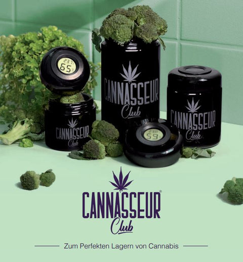 Humidor-Cannabis richtig aufbewahren