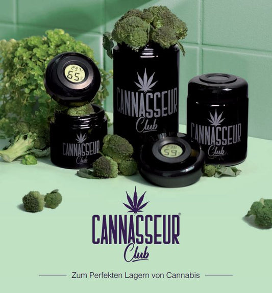 Humidor-Cannabis richtig aufbewahren
