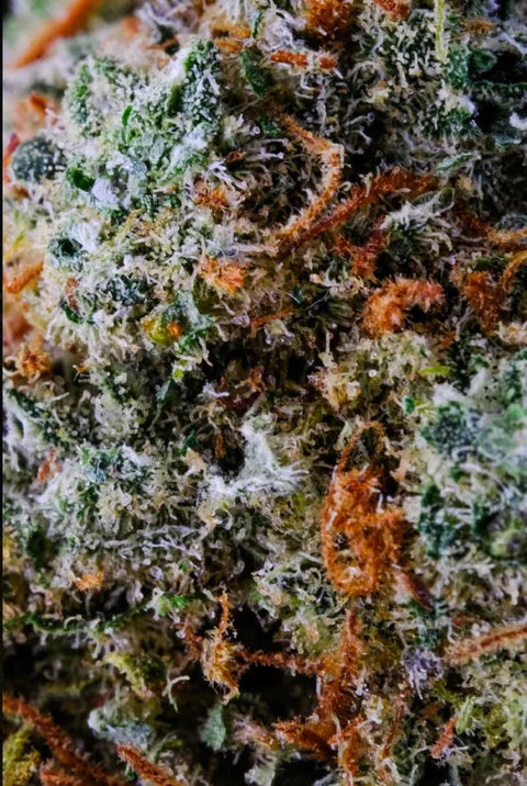 CBD-weed