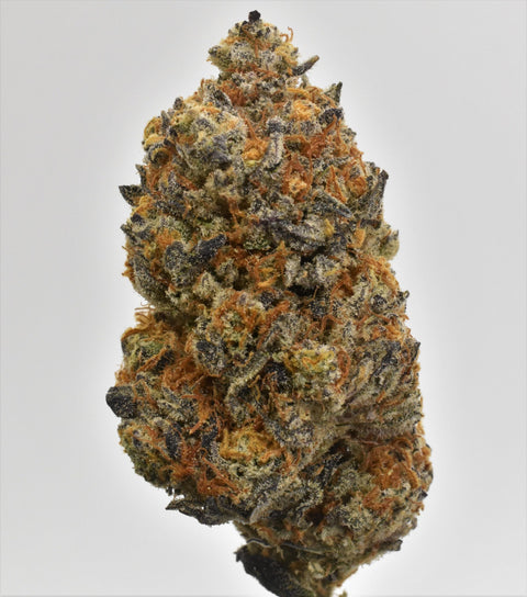 Thin Mintz x Jealousy