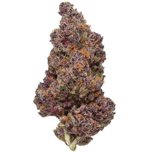 Tropicanna Cherry Cannabisblüte mit violett-orangener Farbgebung von Relentless Genetics. Auch Trop Cherry genannt.