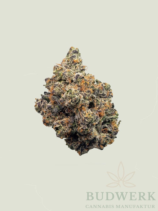 Cali Kush - Indoor Premium CBD (Cali Genetik)