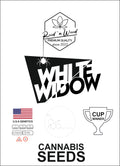 White Widow-feminiesiert-Automatic-cannabis-Seeds-Hanfsamen