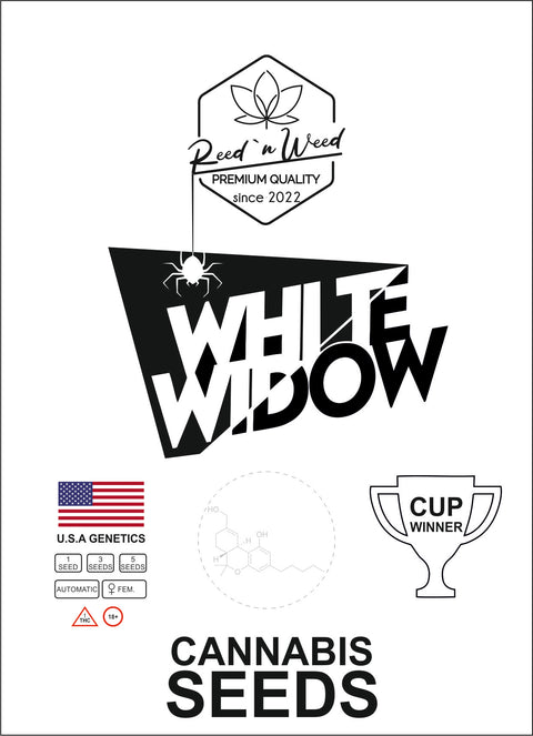 White Widow-feminiesiert-Automatic-cannabis-Seeds-Hanfsamen