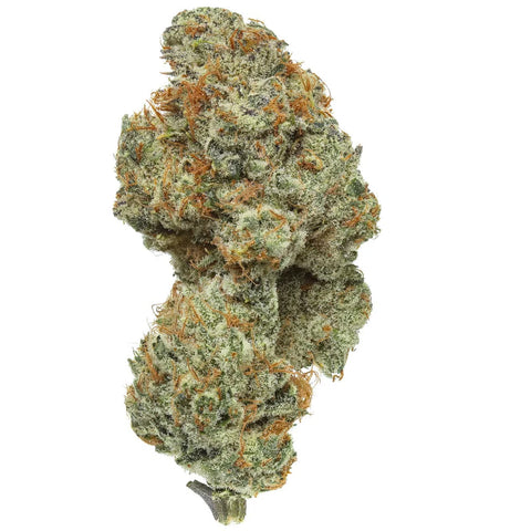 Heavy Z (Original US Breeder Cuts)