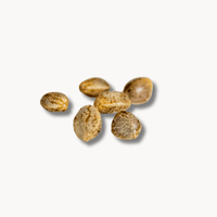 Seeds